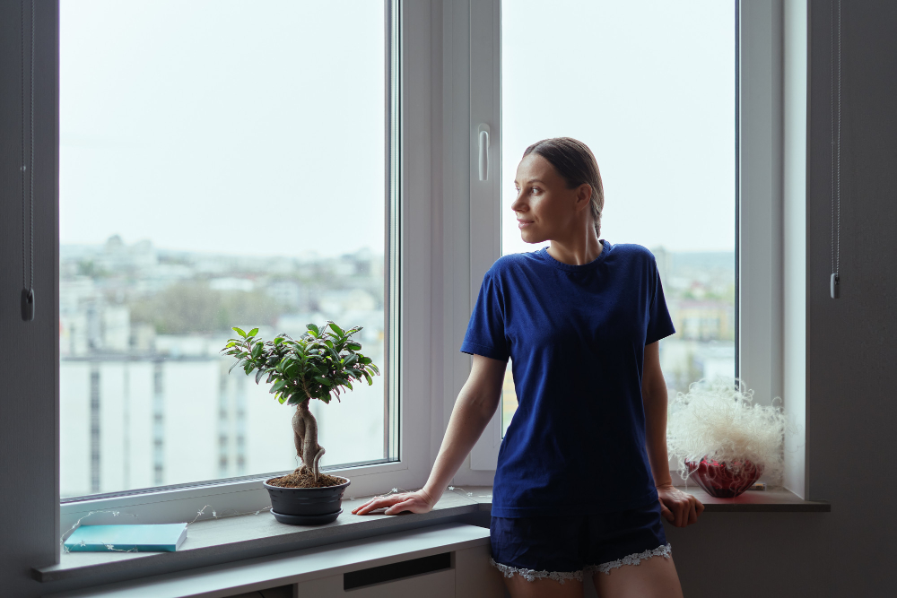 Barnstable Bay & Bow Windows